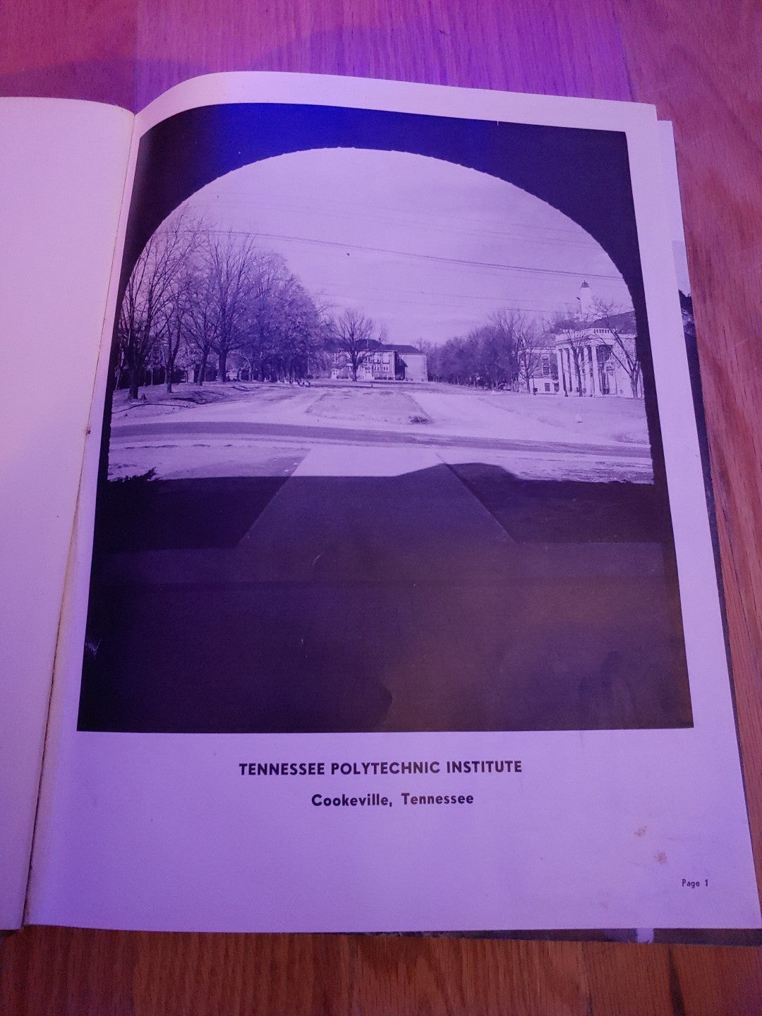 Vintage 1955 TN Polytechnic Institute Cookeville TN Eagle Yearbook Annual