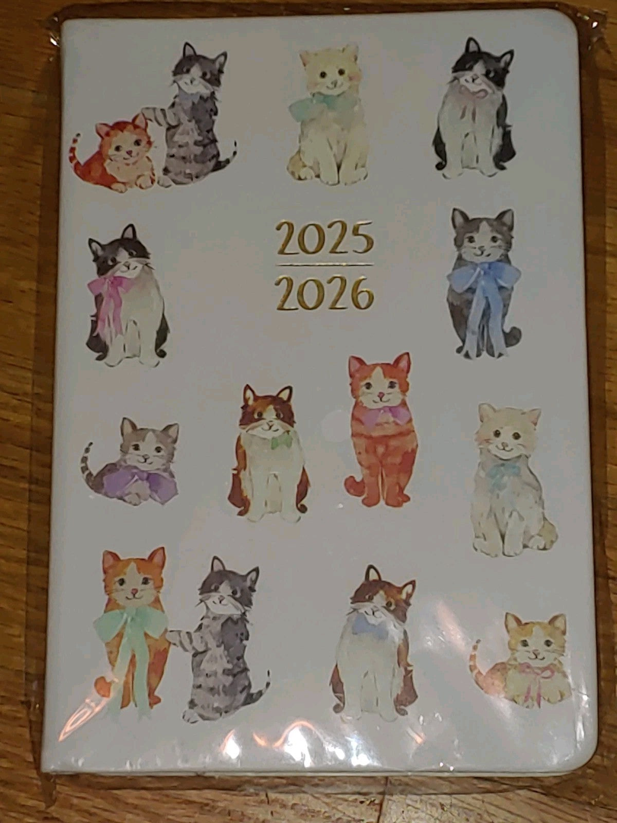 2025/26 Planner Cats 6"x8"