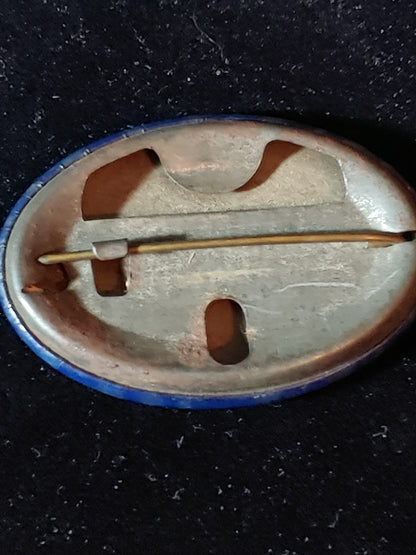 RARE! Oval 1941 Tennessee Hunting Fishing Tag Button License Blue
