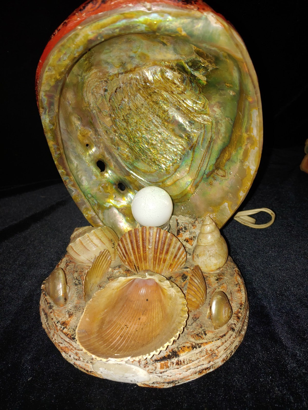 Vintage Conch Abalone Sea Shell Lamp