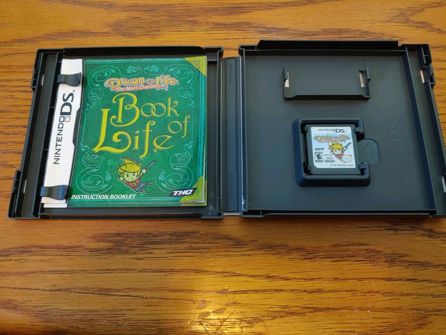 Nintendo DS Drawn to Life: The Next Chapter