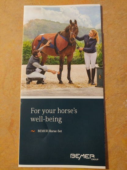 New! 200 Bemer Horse Set Tri-Fold Sales Brochures