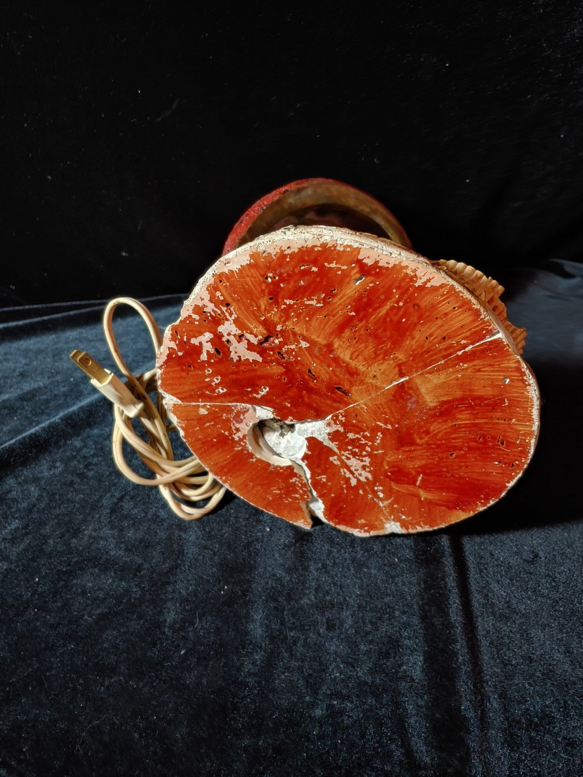 Vintage Conch Abalone Sea Shell Lamp
