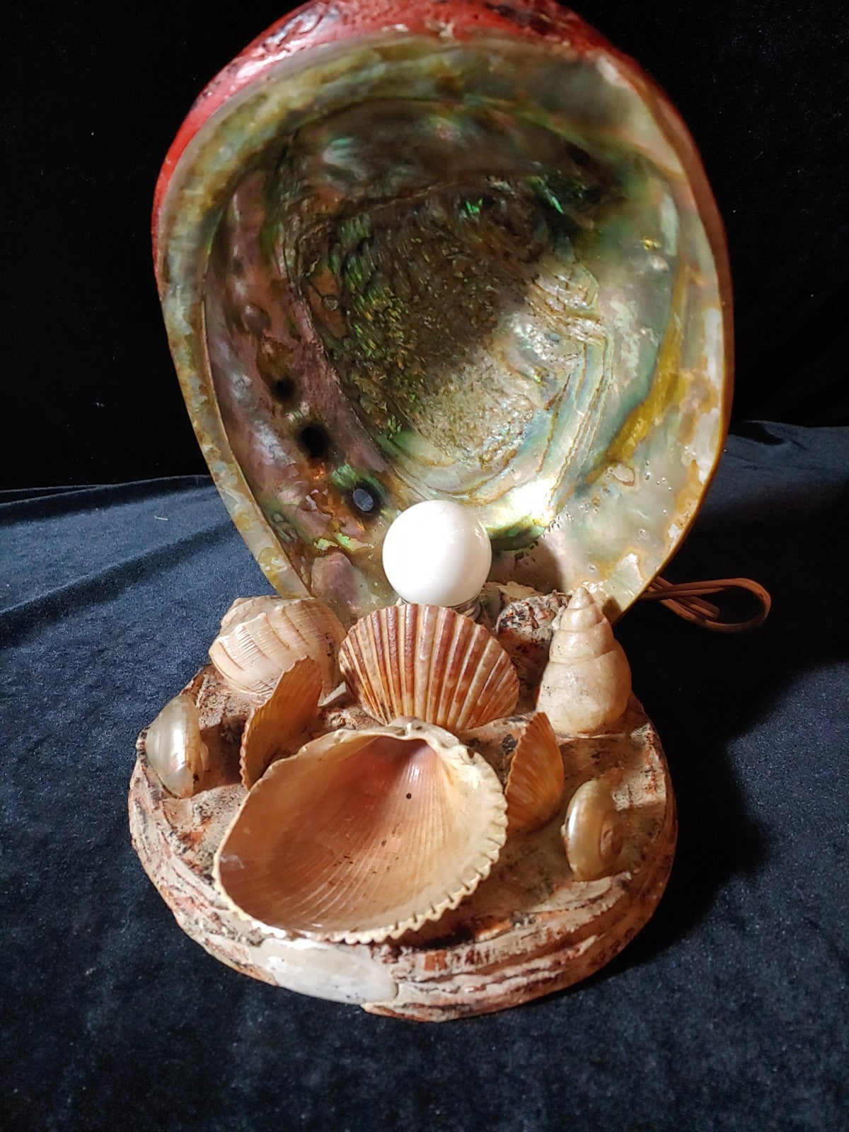 Vintage Conch Abalone Sea Shell Lamp