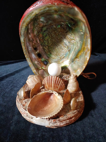 Vintage Conch Abalone Sea Shell Lamp