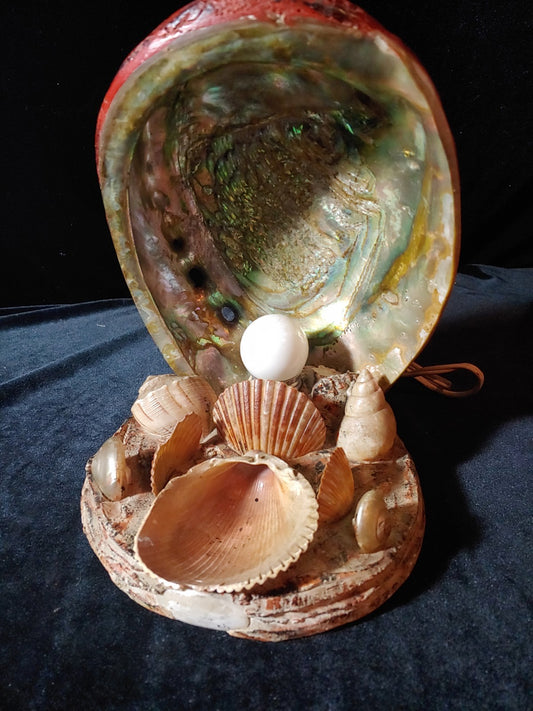 Vintage Conch Abalone Sea Shell Lamp