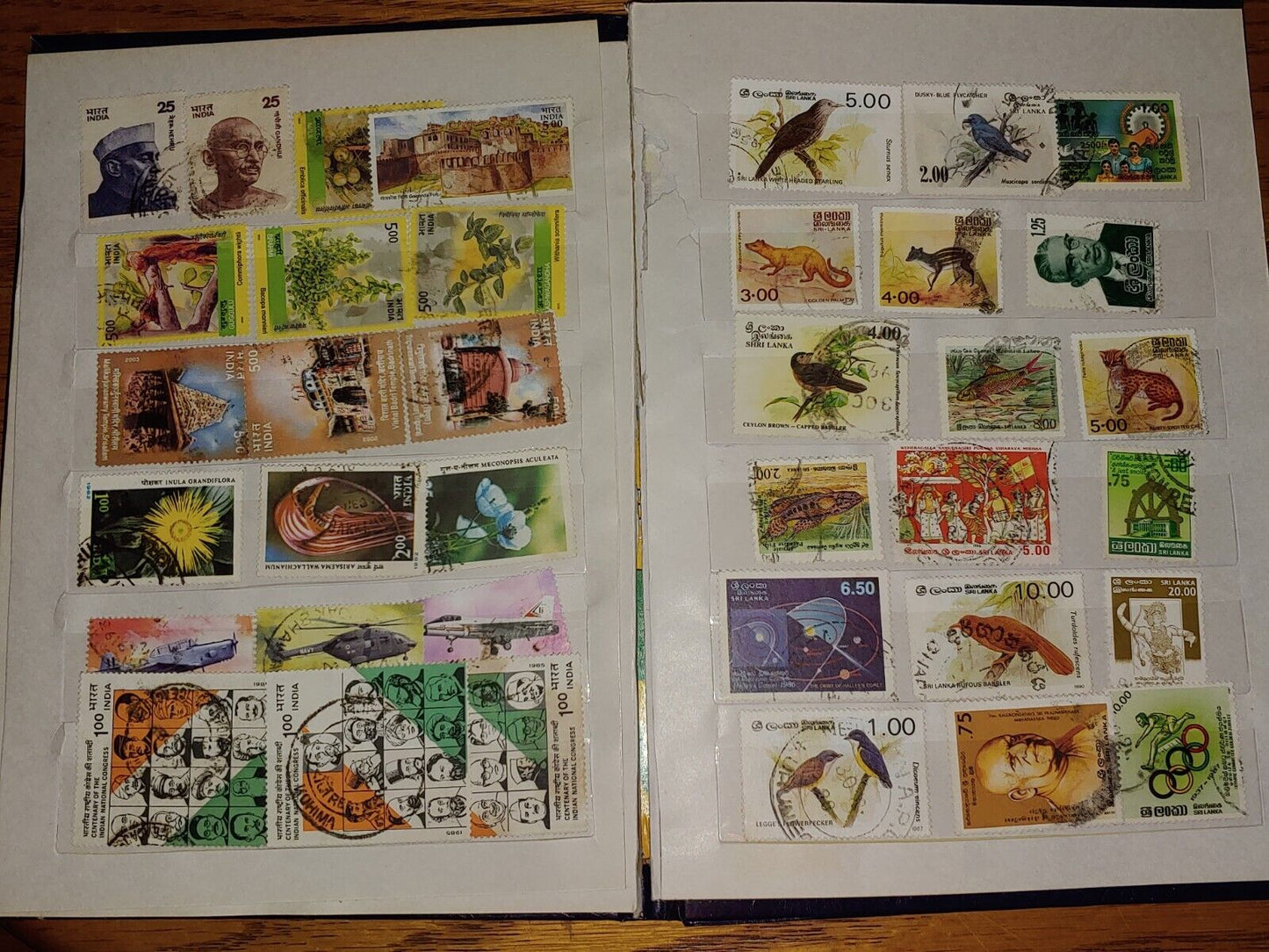 Foreign Stamp lot India Shri Lanka Pakistan Nepal Bangledesh