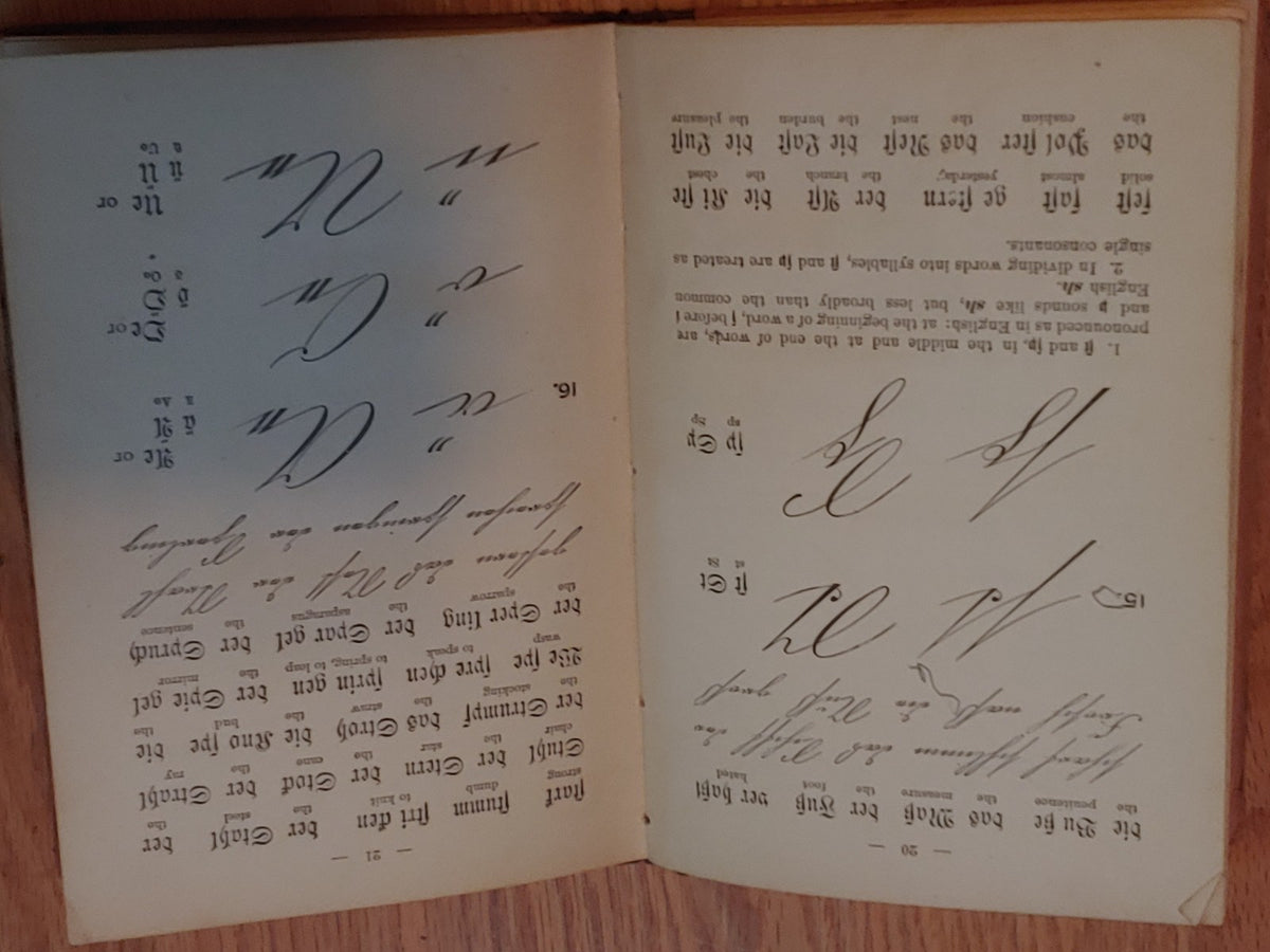 Ahn's First German Book 1879 by Dr. P. Henn Copyright 1873