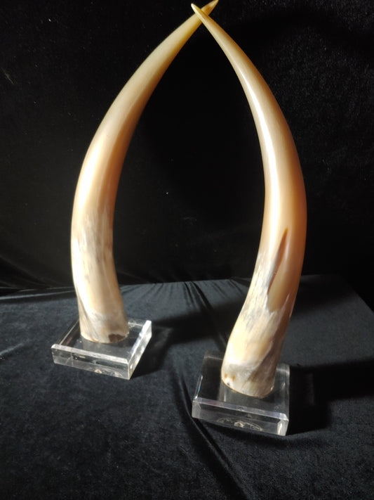 REDUCED! Vintage Steer 21" Horns Mounted On Lucite Blocks Longhorn Decor