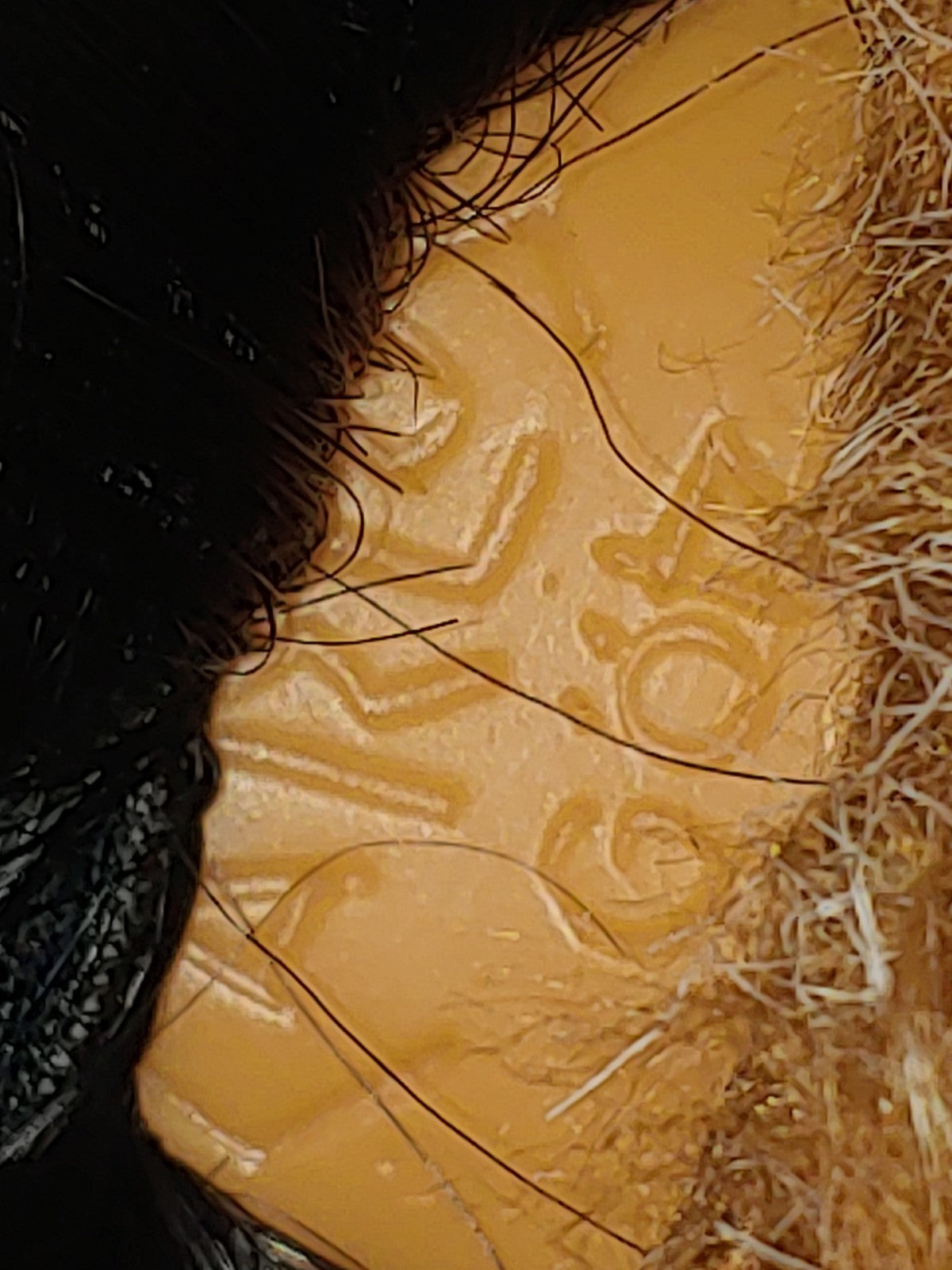 Gotz Carlos Eskimo Girl Doll Sheepskin* Coat Swede* Pants Large 24"