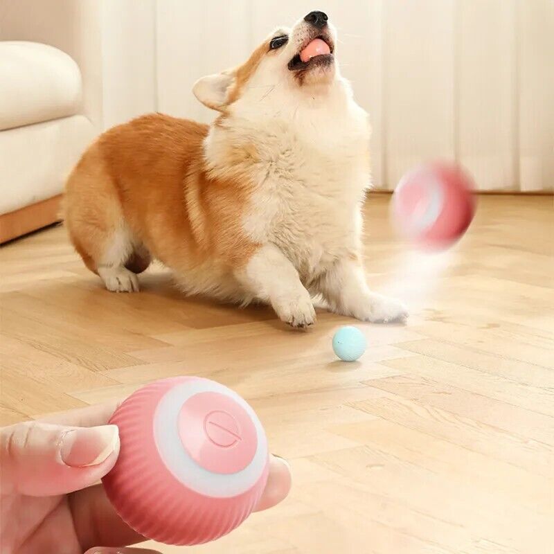 Automatic Rolling Cat/Dog Ball Pink Smart Toy Hours of Fun!