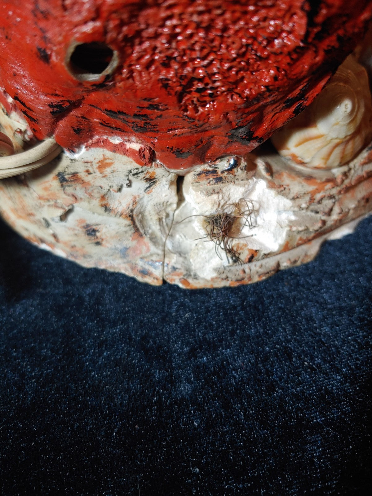 Vintage Conch Abalone Sea Shell Lamp